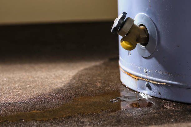 Best Water damage contractors near me  in Elwood, NY