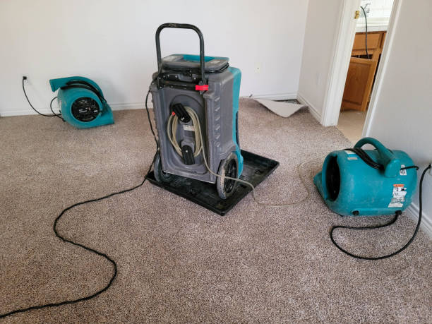 Best Water damage restoration experts  in Elwood, NY