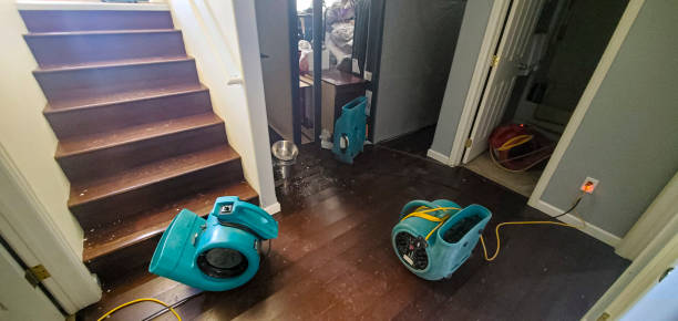 Best Flood restoration services  in Elwood, NY