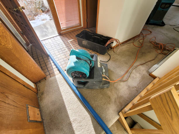 Best Carpet water damage restoration  in Elwood, NY