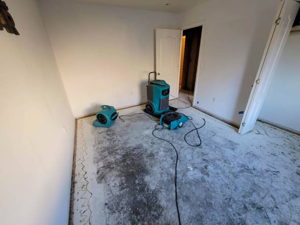 Best Water damage restoration near me  in Elwood, NY