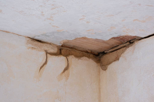Best Water damage restoration insurance claims  in Elwood, NY