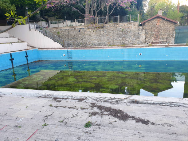 Best Flood restoration services  in Elwood, NY