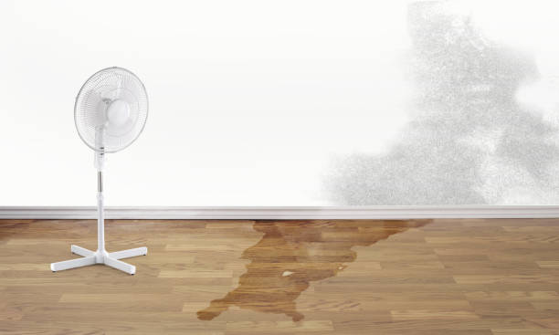 Best Sewage cleanup and water damage restoration  in Elwood, NY