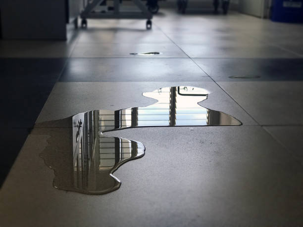 Best Commercial water damage restoration  in Elwood, NY