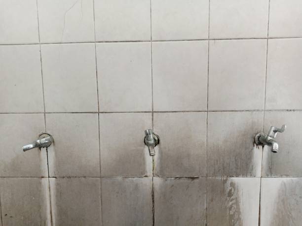 Best Professional water damage repair  in Elwood, NY