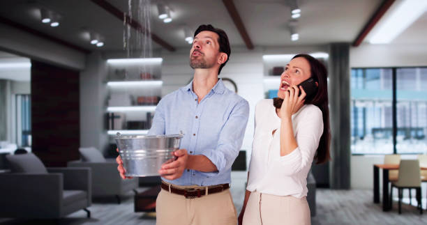Best Mold removal after water damage  in Elwood, NY