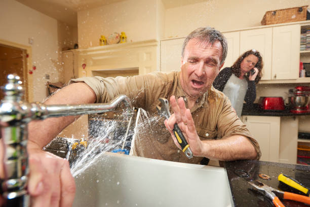 Best Water damage cleanup near me  in Elwood, NY